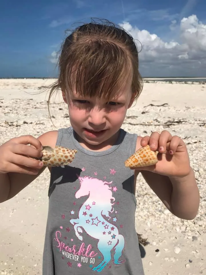 A girl on the beach holds up two shells at midday
